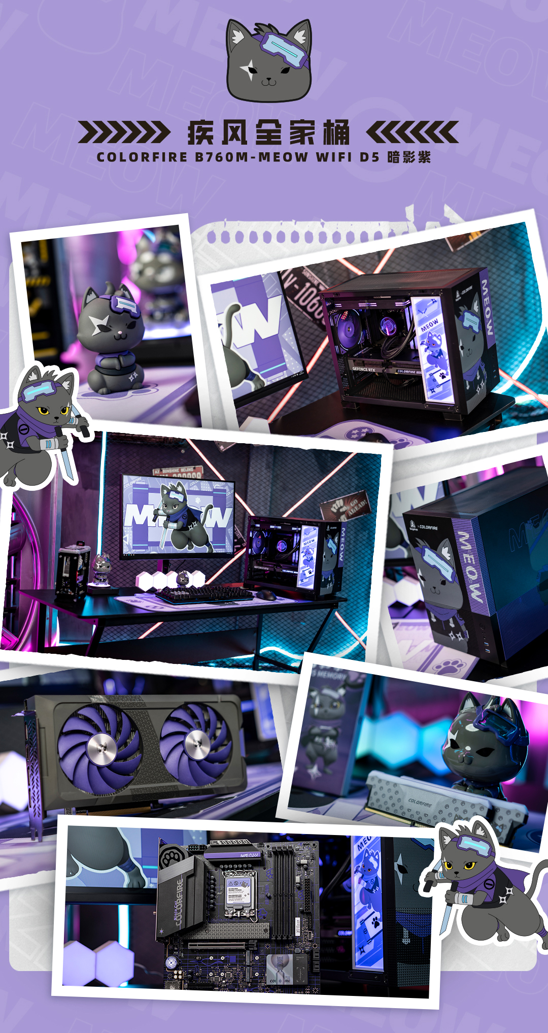 紫貓數據包_02.jpg